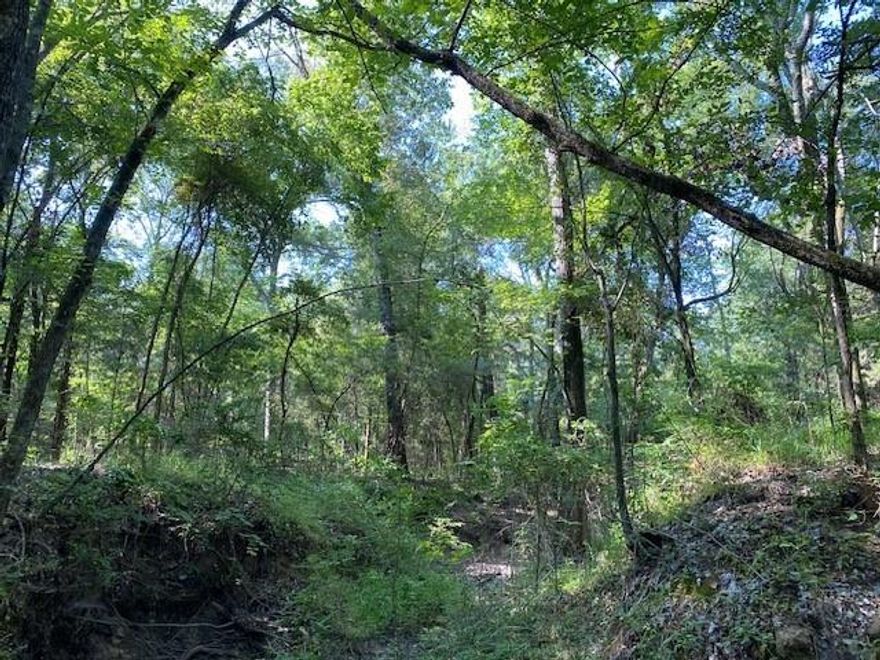 12.4212 ACRES - Heavily wooded with power and community water available. The property is a wildlife haven with choice homesites if desired. Additional acreage is available for purchase. See Broker for details.