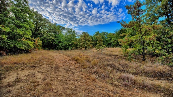 TBD STARKEY ROAD, SAINT JO, TX 76265 - Image e45bcf664103f9c3bfc4d94f9b2c9bbe/3413472207