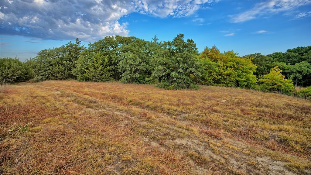 TBD Starkey Road