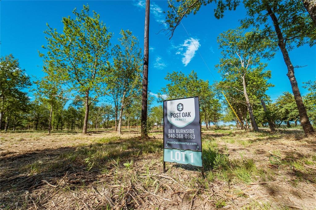 Lot 8 County Road 297