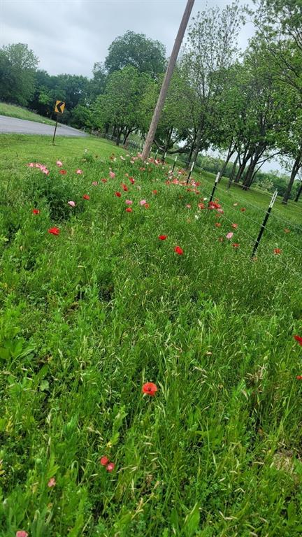 Allred A-14 - Residential