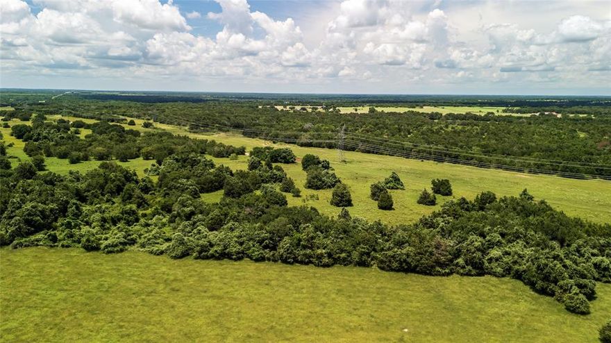 Seller Finance is available. This 10-acre tract of land, ideally situated just 10 minutes south of Wortham and a mere 20 minutes from Corsicana offers the ultimate blend of convenience yet is close to several stunning lakes and the city!  It is one of several that are currently available. With no deed restrictions, a new 4-inch water line and water tap fees have been paid, saving you thousands, the possibilities are endless—whether you're envisioning a large homestead, a weekend retreat, or an investment opportunity. The lush, green landscape is a blank canvas awaiting your vision. The mature trees provide a picturesque backdrop, while the open spaces offer ample room for building, farming, or recreational activities. Enjoy the peace of rural living without sacrificing accessibility to nearby towns and amenities. Photos are of the entire property.