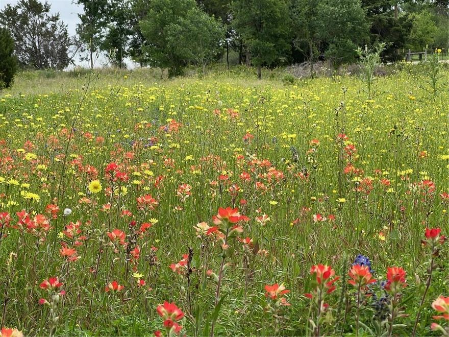 - Enjoy the peace of country living with the convenient location central to nearby Temple and Waco with easy access to I-35. 
- Small street that ends in a cul-de-sac no drive-by-traffic, just a couple of quiet neighbors. 
- Existing neigborhood consists of mostly larger acreage lots, no mass developments here or nearby. Your yard and view will not change, it is beautiful now and will continue to be. Listed with lot at 161 Suzanne and it will be sold together to the same buyer. 
- Both lots are listed separately. 
- Pictures included in both listings are the same and contain views of both 153 and 161 Suzanne Drive.
- We have a survey in hand and pins in place. Also survey stakes every 20ft around the property line where there are neighboring properties (except for the front street where it connects with 161 Suzanne Dr). Easy to know where your property lines are.
- Brand new (unused) 2024 Lone Star Structures Shed 10FT X 12 FT - delivered and leveled. 
- Enjoy dry creeks and beautiful trees including mature pecan.
- Under brush and excess cedar has been partially cleared for workshop, small home or just a place to relax in nature. 
- A must see if you are looking for peace and tranquility!