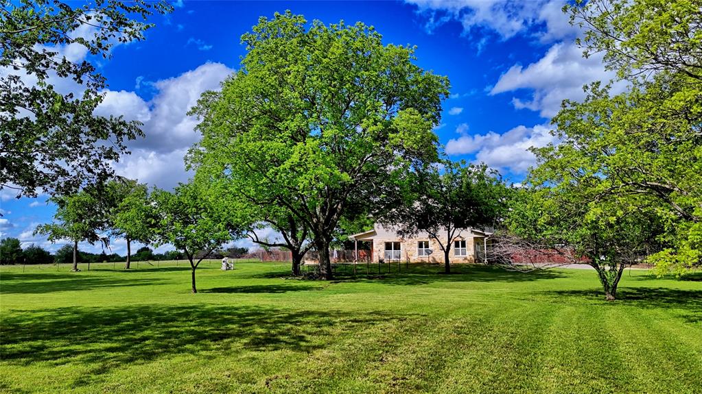 209 E Meadows Street