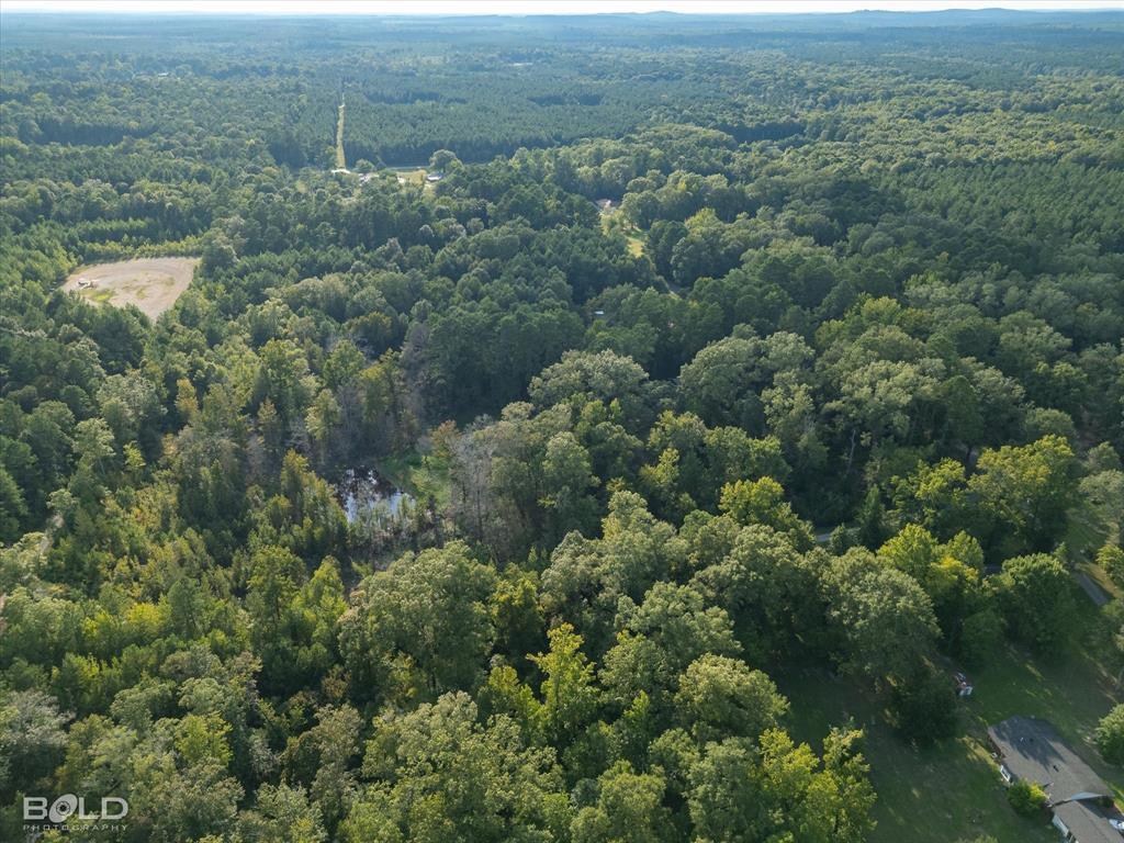 Quitman, Louisiana 71268, United States, ,Land,Active,197630