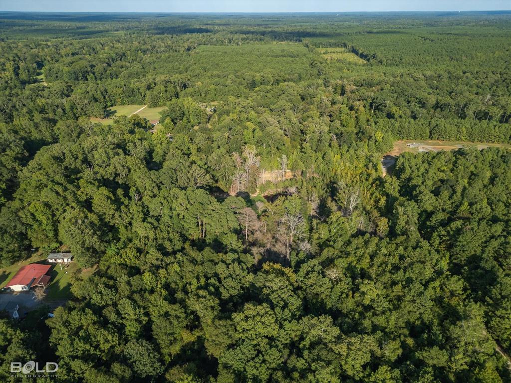 Quitman, Louisiana 71268, United States, ,Land,Active,197630