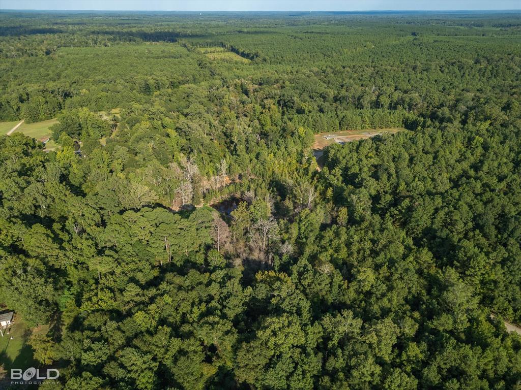 Quitman, Louisiana 71268, United States, ,Land,Active,197630