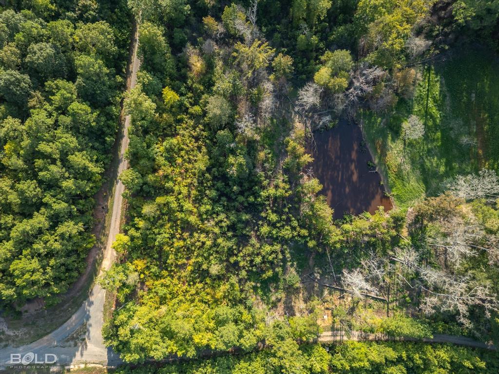 Quitman, Louisiana 71268, United States, ,Land,Active,197630