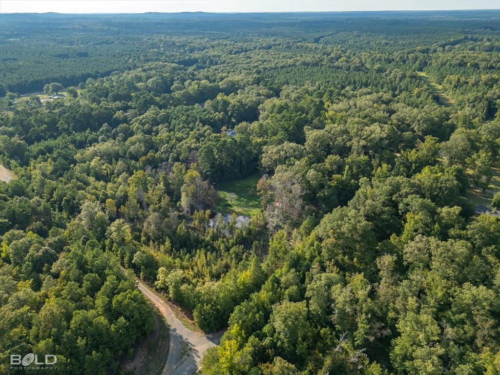 Quitman, Louisiana 71268, United States, ,Land,Active,197630