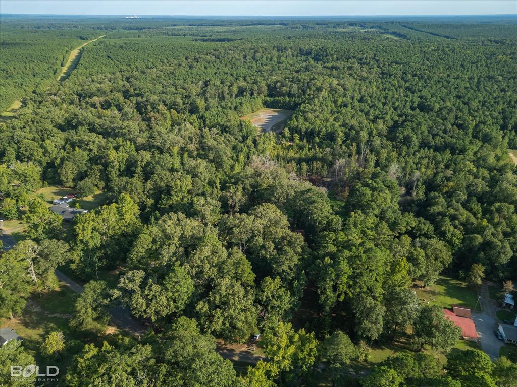 Quitman, Louisiana 71268, United States, ,Land,Active,197630