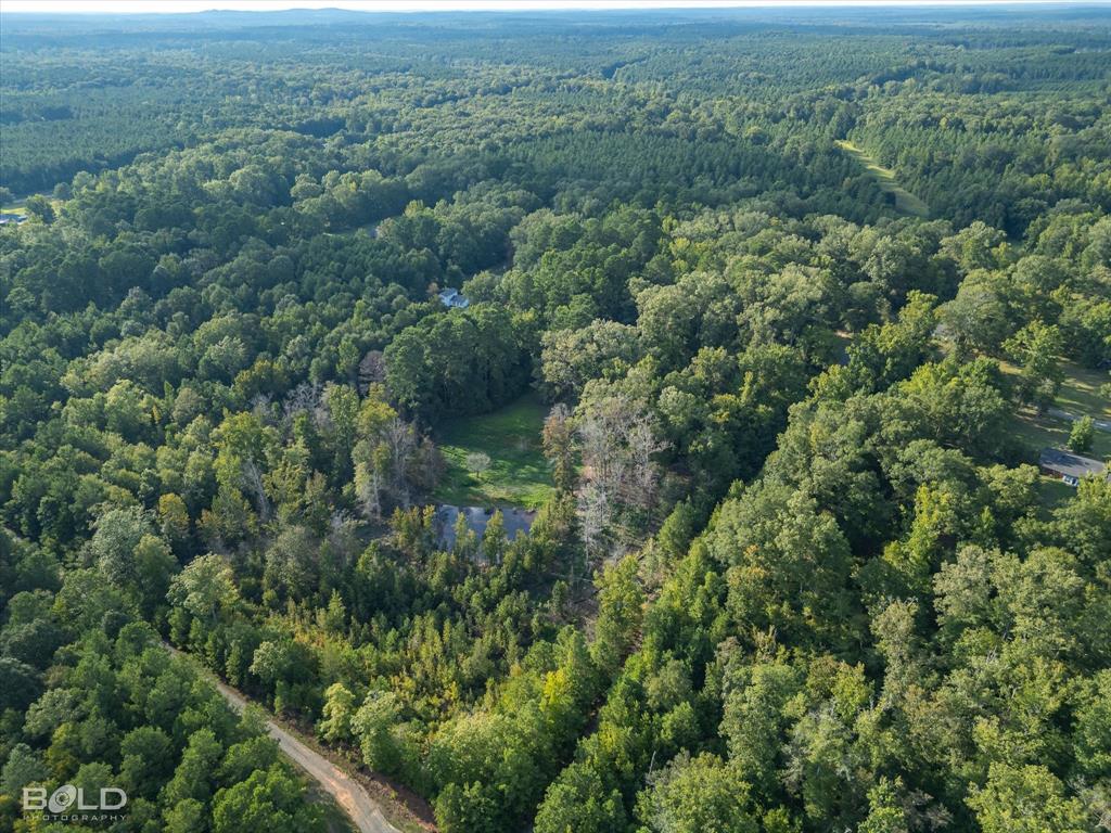 Quitman, Louisiana 71268, United States, ,Land,Active,197630