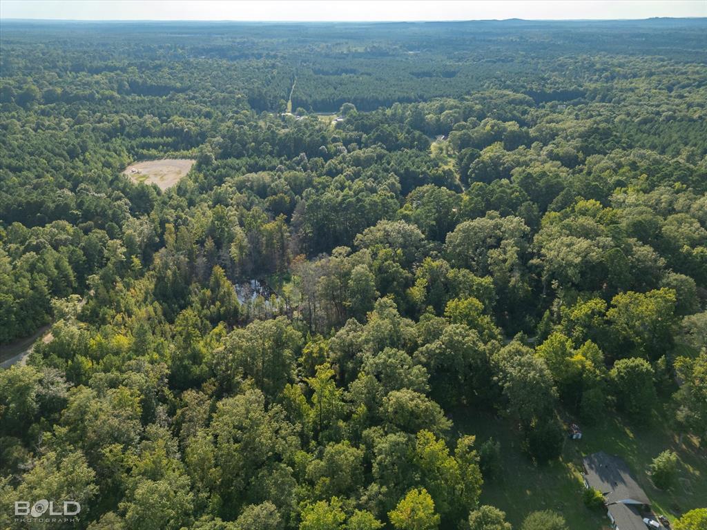 Quitman, Louisiana 71268, United States, ,Land,Active,197630