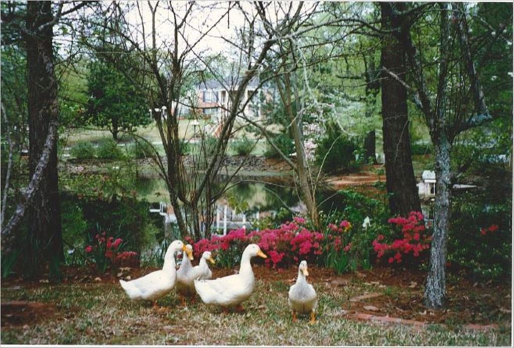 City Of Tyler - Residential