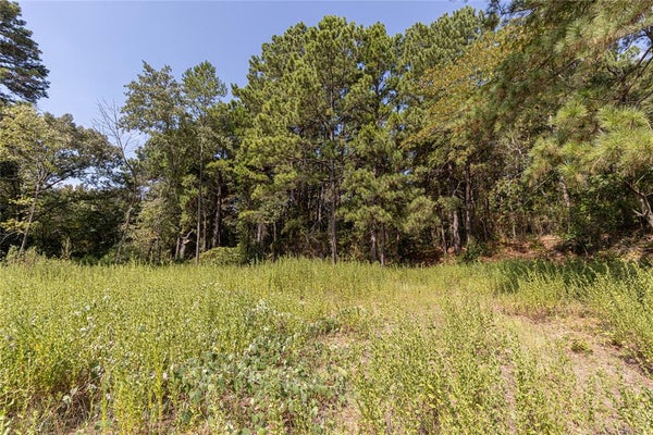 VALLEY VIEW DR, FRANKSTON, TX 75763 - Image e4c3019d5e89db4f9610a5c2ca20408d/2955954288