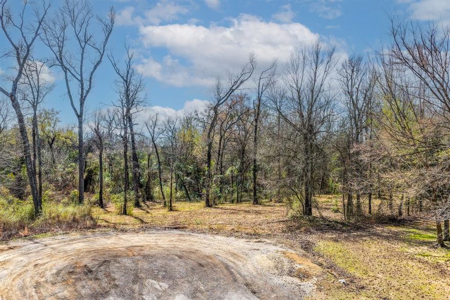 Tucked away among mature trees, this beautiful homesite is ready for you to bring your dream home to life. A thoughtfully cleared area provides the perfect building spot while preserving the natural beauty and privacy of the surrounding landscape. Enjoy the peaceful charm of a small creek that runs along the back of the property, creating a serene backdrop for everyday living. As one of the last remaining lots in Honeysuckle Creek Addition, this is a rare opportunity to secure your place in a sought-after setting.