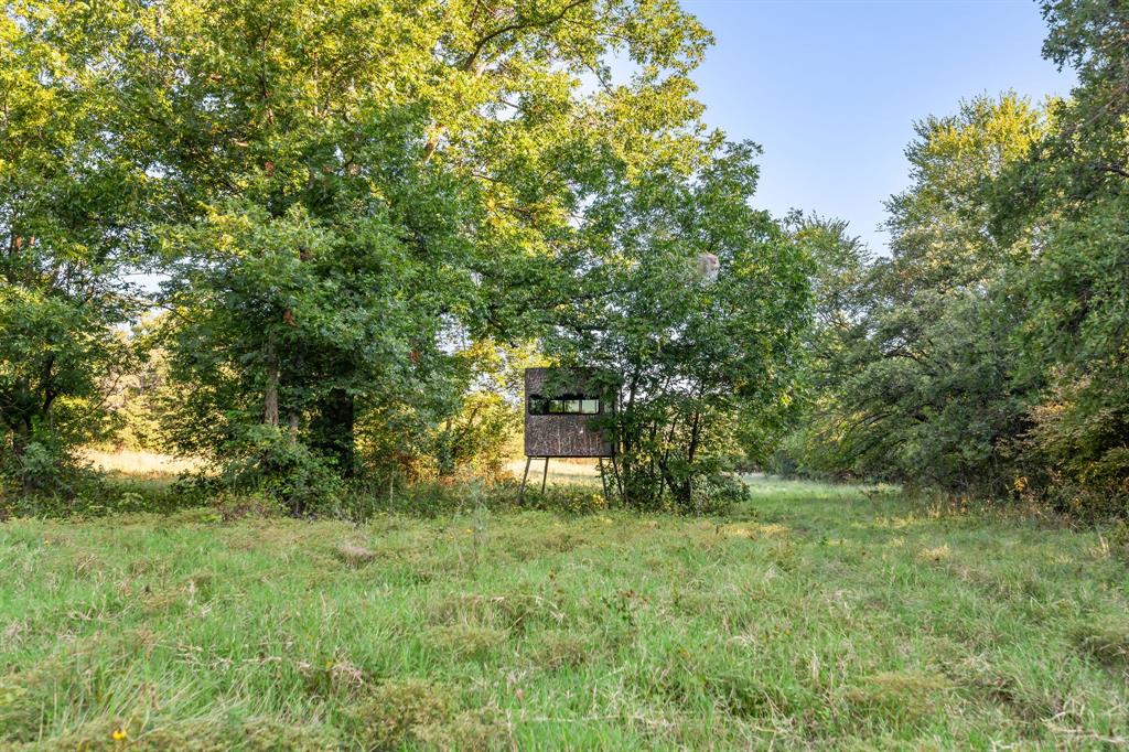 3773 Cottonwood Creek Road