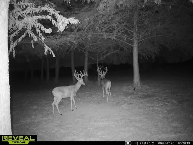 St Paul Lakeshore Estates Ph I - Residential