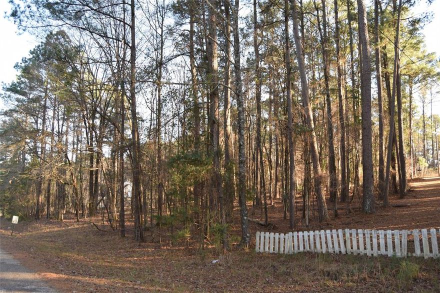 This lot is 1.27 acres more or less
It is a lot more level lot than Lot#21.
There are several tees on the lot.
It would be a nice place to build a home.
It is on Entergy Electricity and Germantown Water.
There is an electric easement thru the lot.