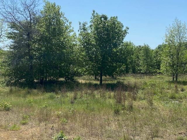 Whispering Oaks - Land