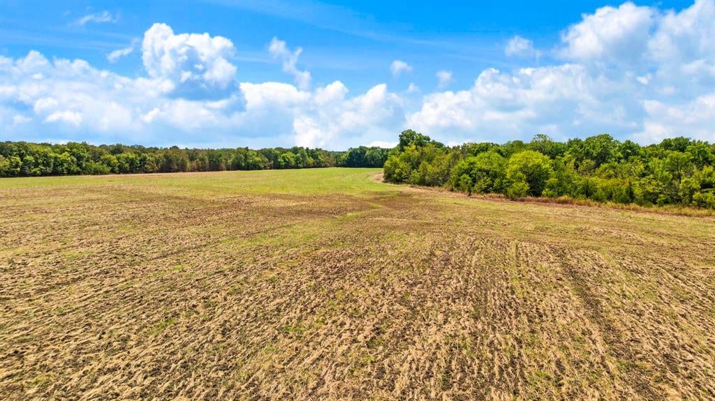 2078 Farm Road 2122