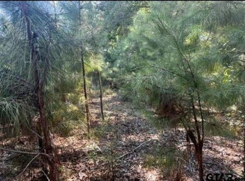 Tiny photo for 22847 FM 2215, Frankston, TX 75763 (MLS # 21197994)