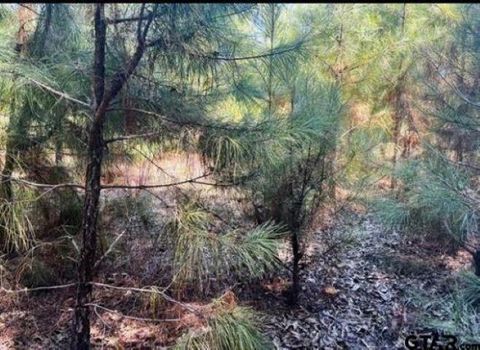 Tiny photo for 22847 FM 2215, Frankston, TX 75763 (MLS # 21197994)