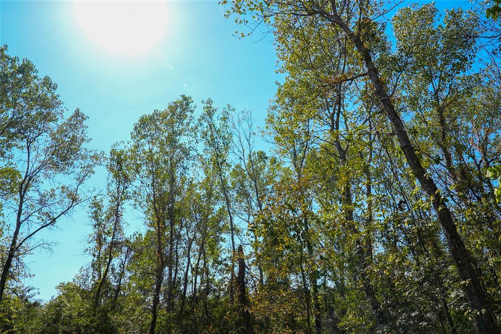 TBD County Road 4667