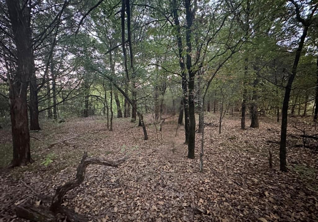 Palisades Add Ph V - Land