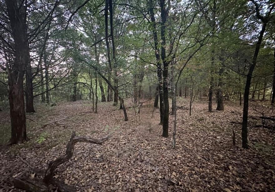 Discover this stunning, oversized corner lot spanning nearly half an acre in the prestigious Rock Creek subdivision. Elevated and densely wooded, this lot backs up to the Corps of Engineers land, offering both privacy and natural beauty. Rock Creek Resort on Lake Texoma is rapidly growing in popularity—don’t miss your chance to own a piece of this breathtaking 1,300-acre community. The price includes a membership to the exclusive Rock Creek Golf Club, featuring a championship Nicklaus-designed course, ranked 19th in Texas by Texas Outside. Enjoy resort-style amenities, including an onsite restaurant, a saltwater pool, a marina with boat rentals and guided fishing trips, plus courts for tennis, basketball, and pickleball. Stay active with a fully equipped fitness center and amazing hiking trails behind the community. 
The seller has a fully designed set of house plans tailored specifically for this lot, which can be transferred to the new owner at closing if desired. Additionally, the seller is open to collaborating with the buyer on any floor plan modifications after closing. The complete house plans are included at no extra cost, but any requested edits would be subject to additional fees. This gated, 24-hour secured resort is just 60 minutes north of DFW. Best of all—there’s no required build date, allowing you to invest at your own pace. The sale price covers the lot only and does not include the construction of any structures. Although the seller is a builder, he is unable to build the home for the buyer due to his schedule.

Seize this incredible opportunity today!