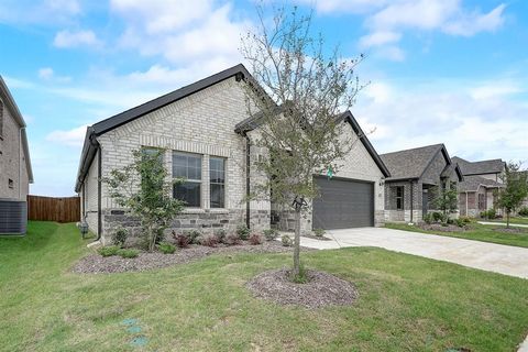 Single Family Residence in Princeton TX 3902 High Valley Drive.jpg