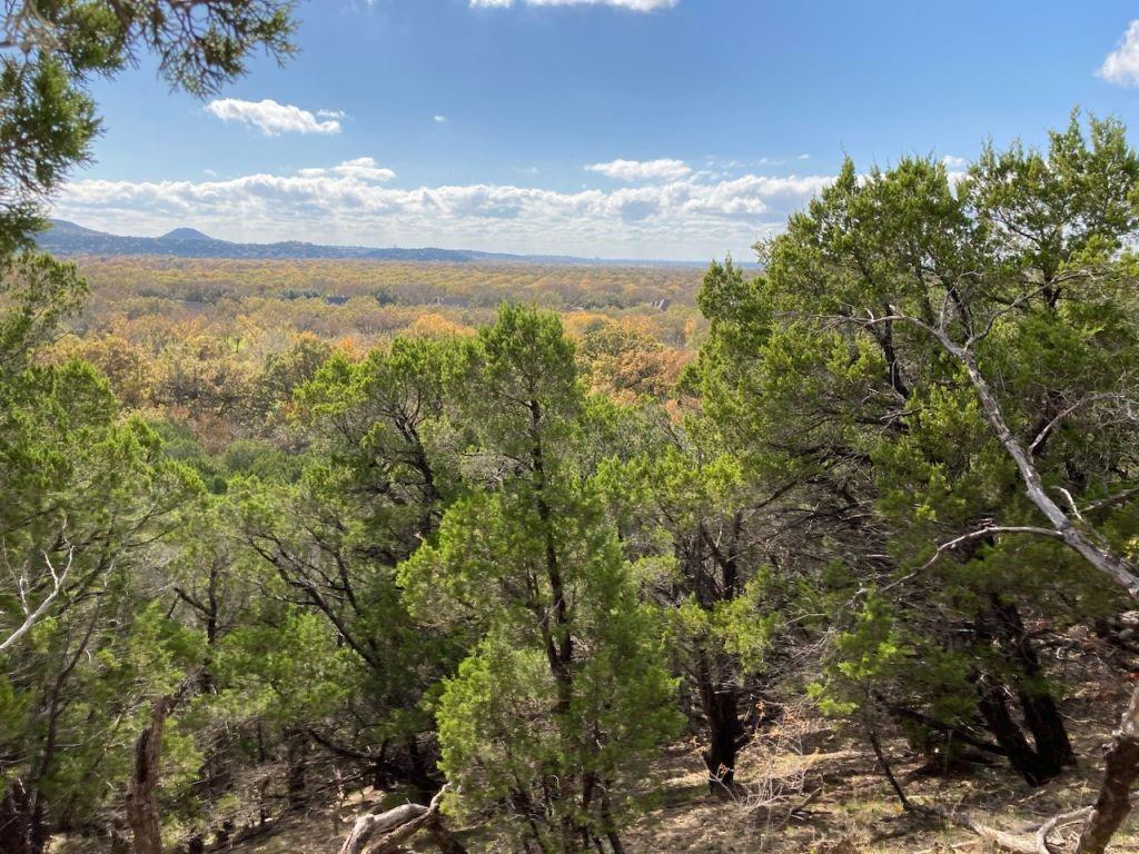 355 wooded acres to be surveyed out.  Additional acreage may be available.  Varied topography down to Brazos river frontage.  Excellent development opportunity.