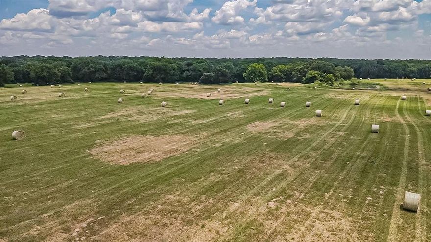 Located just west of Downtown Covington, this ag-exempt ±10.5-acre tract offers open land and a seasonal creek along the eastern edge. The property fronts fully paved FM-67 and is ideal for a custom home, manufactured home, mobile home, or weekend retreat.

Currently producing Coastal Bermudagrass and Bahia, it’s ready for livestock or hay use. City-approved water meters are available, electric at the road, and septic is needed.

With minimal restrictions, no HOA, and an additional ±30 acres available, this tract offers flexibility, space, and convenience close to town and within easy reach of Cleburne and Hillsboro. Also available for sale: Lot 1 MLS#20965799, Lot 3 MLS#20965833, and Lot 4 MLS#20965841.