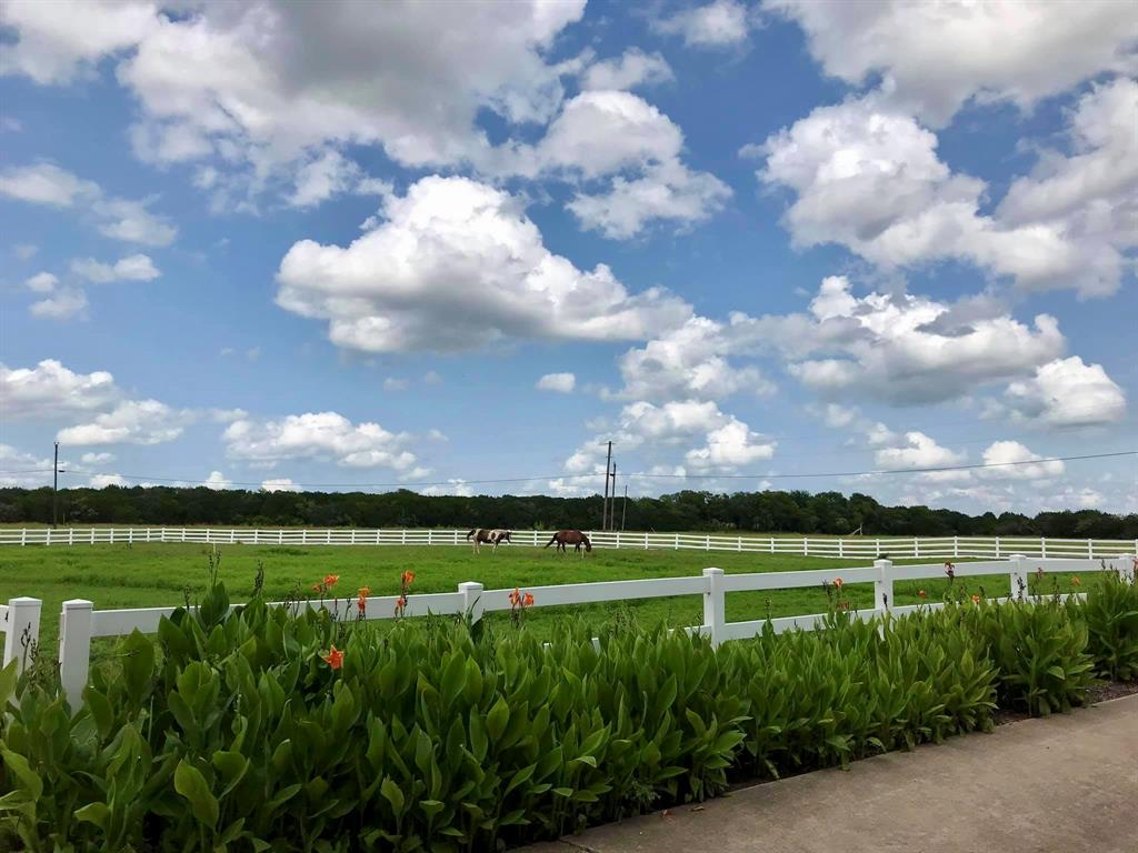 White Bluff #23 - Land