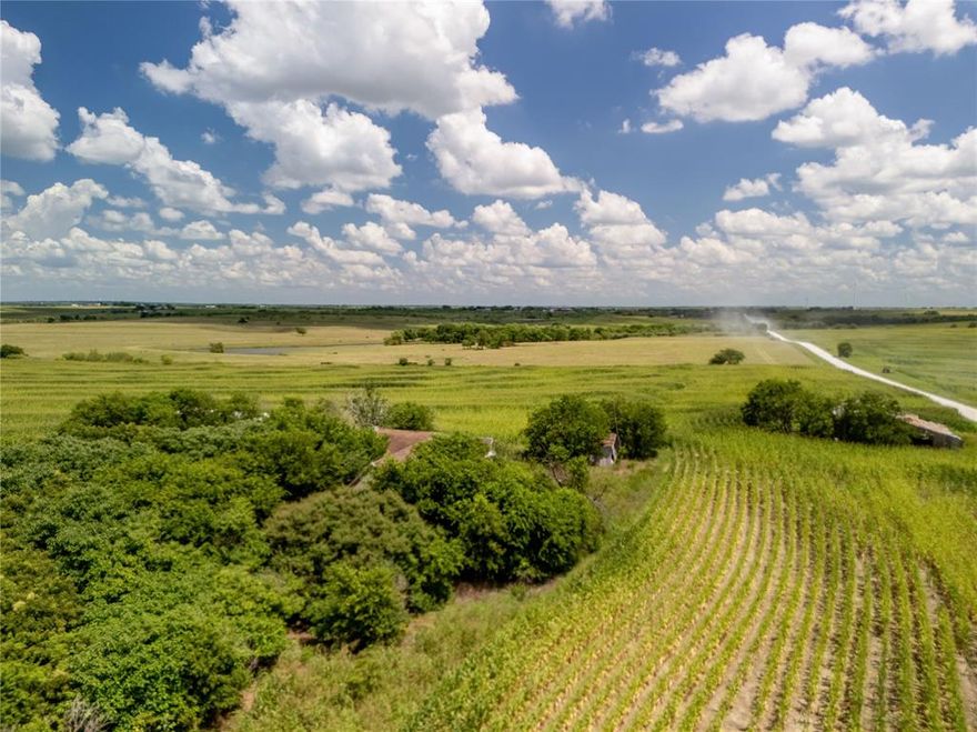 Wide open skies and endless possibilities! This beautiful 12.543-acre tract of land, just one of three available, offers the perfect balance of peaceful rural life and convenient access to city amenities. Located just 10 minutes from Hubbard, 20 minutes to Hillsboro, 30 minutes to Waco, and under an hour to Waxahachie, you’ll enjoy the calm of the countryside without sacrificing proximity to shopping, dining, and everyday essentials. With no deed restrictions, this land gives you the freedom to create your dream setup. Whether that’s a custom barndominium, a working ranch, or a weekend escape. Rolling pastures, mature tree lines, and scenic views provide the perfect backdrop for horses, cattle, or a private retreat. This is where lifestyle meets land come build the future you’ve been dreaming about.  Photos are of the entire property.