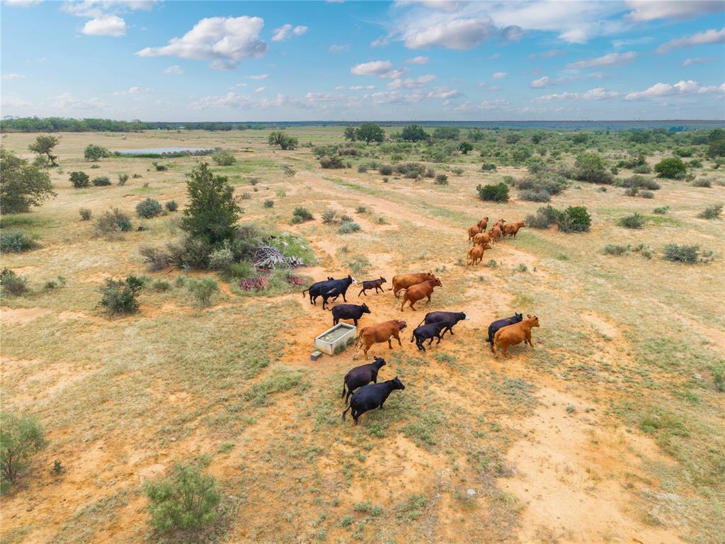 Life Estate Wilton D Jackson - Land