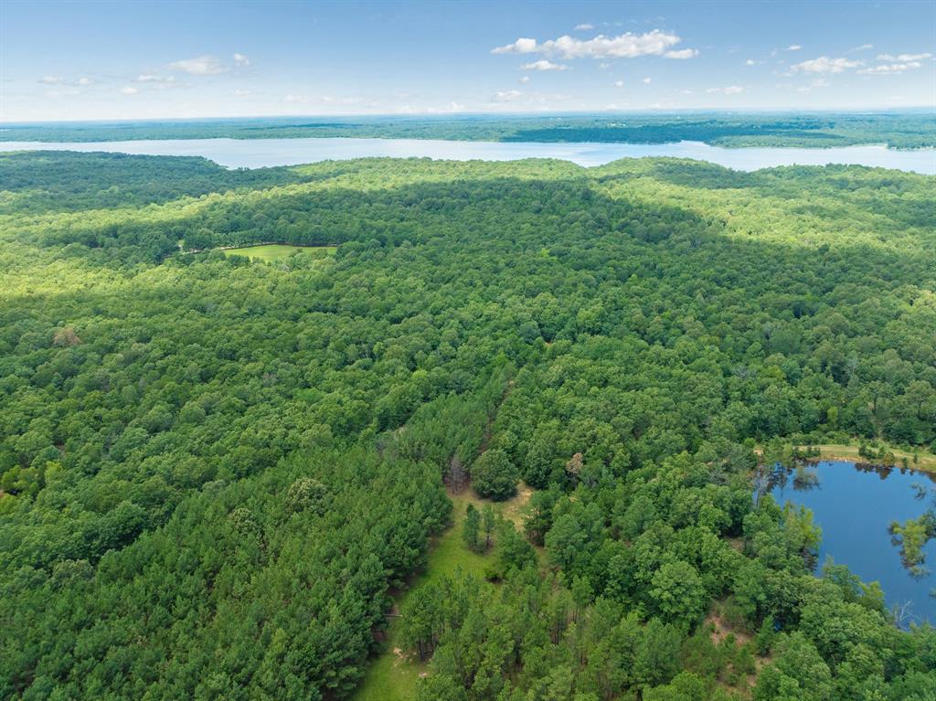 4416 County Road 33800