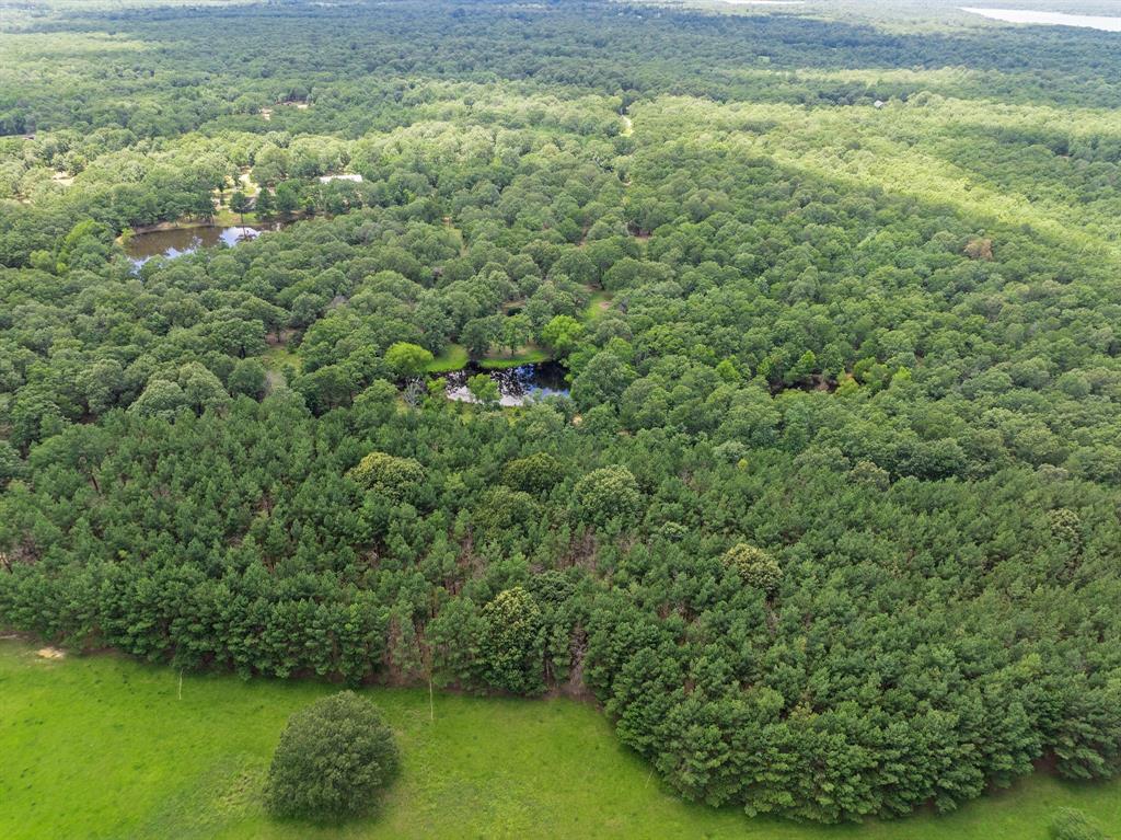 4416 County Road 33800