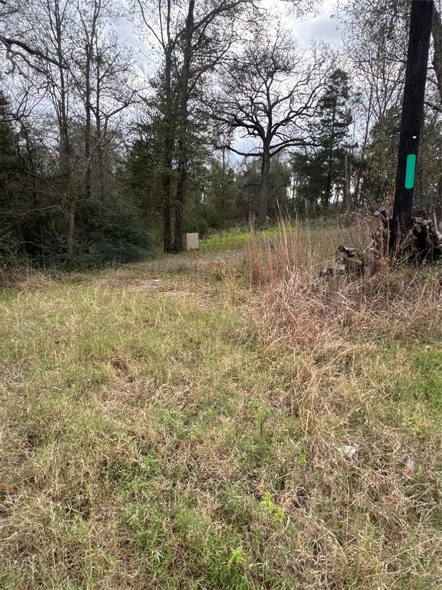 This beautiful 8-acre recreational property is located near Kirvin, Texas, offering a perfect retreat for outdoor enthusiasts. The land is densely wooded, providing plenty of privacy and a peaceful natural setting. With easy access to Interstate 45, commuting or traveling to nearby areas is simple and convenient.The property already has electricity on-site, making it an ideal spot for camping, hiking, hunting, or even building a cabin or recreational getaway. Whether you’re looking for a weekend escape or a longer-term investment, this property offers the potential for a variety of outdoor activities while being close to essential amenities.Don’t miss out on this fantastic opportunity to own a slice of Texas wilderness!
Storage shed on property, current owner used it as little cabin.