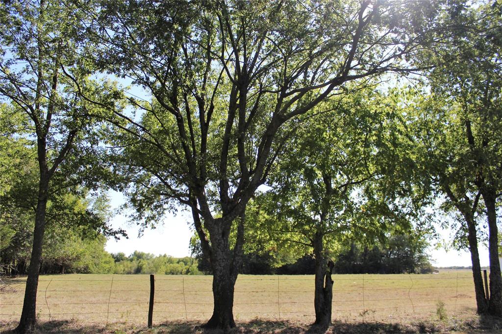 Kattenhorn Henry A-G0671* - Residential Lease