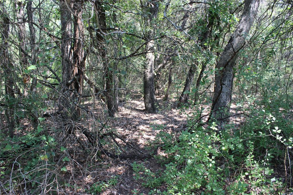 White Bluff #24 - Land