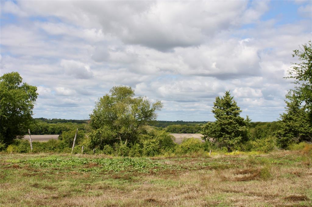 1703 County Road 4605