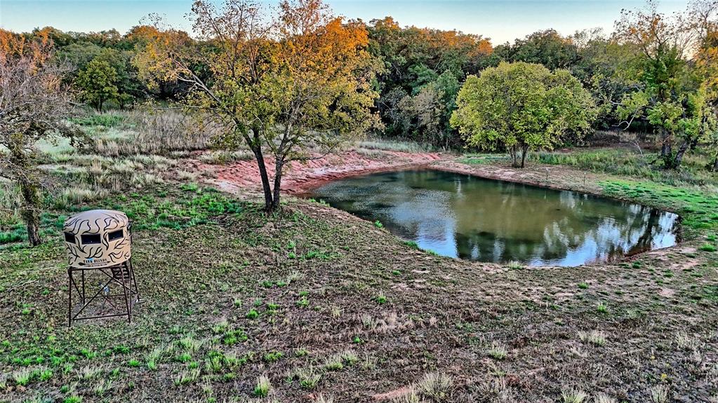 85.089 Acres, J.M. Spoon Survey, A-724 - Farm