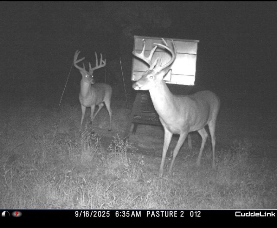 85.089 Acres, J.M. Spoon Survey, A-724 - Farm