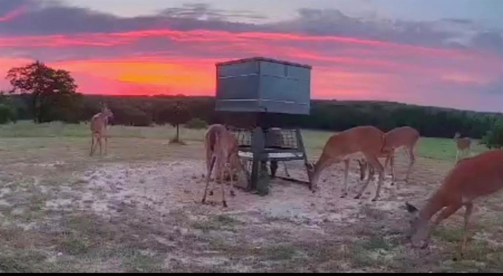 85.089 Acres, J.M. Spoon Survey, A-724 - Farm