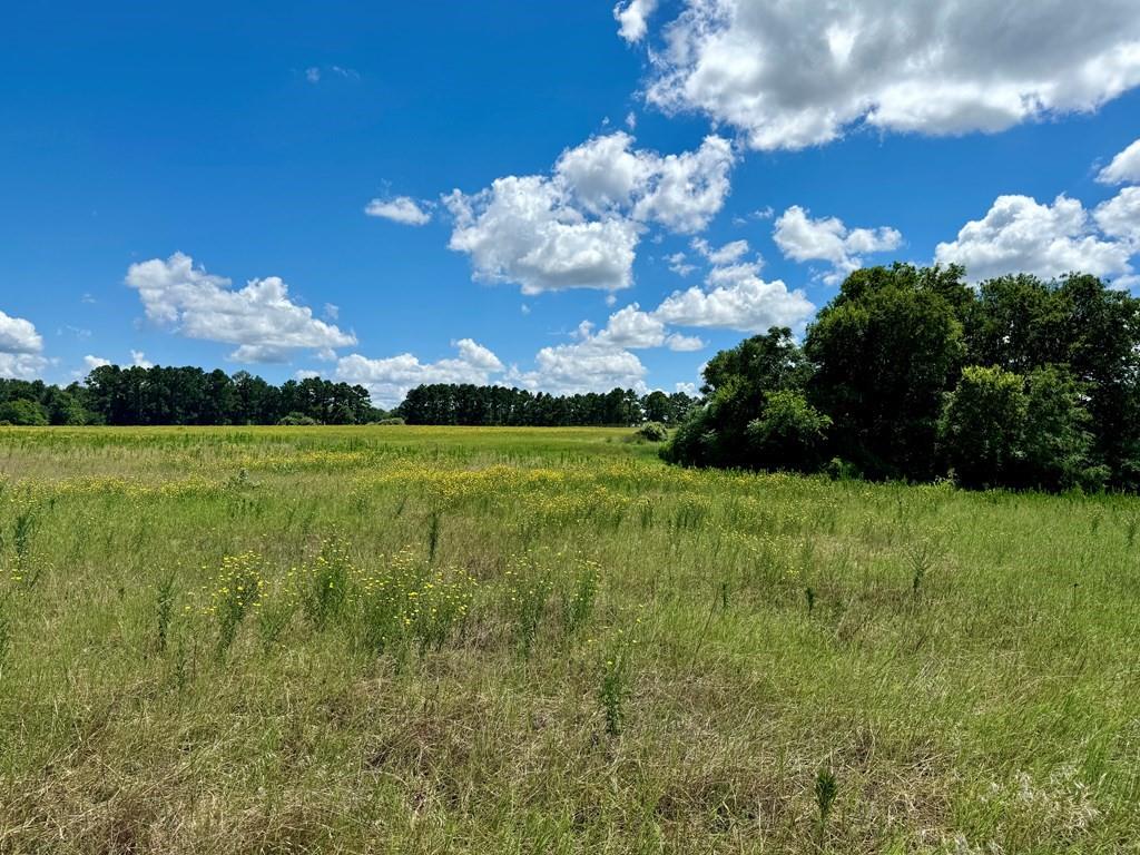 Waters Edge Ranch 143 Ph 01 - Land