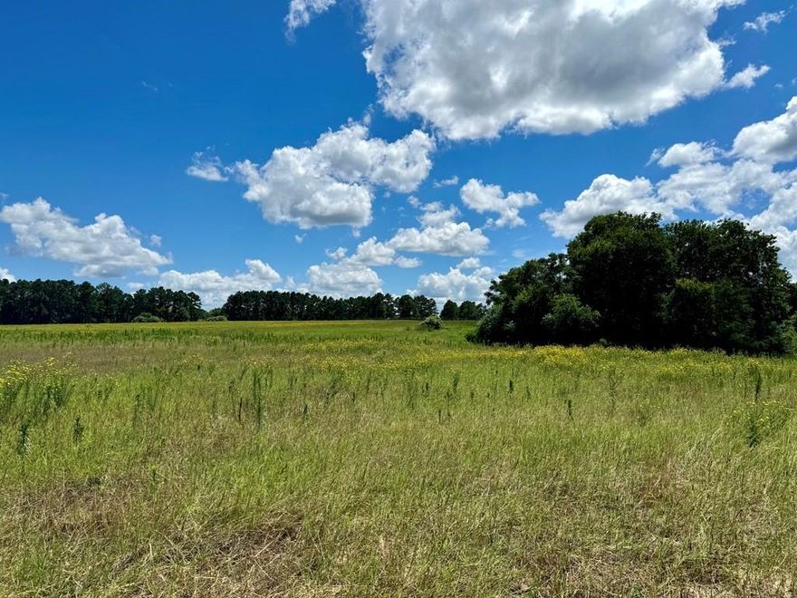 Located at the end of a quiet cul-de-sac inside the gated Waters Edge Ranch community, this 2.115-acre homesite offers wide-open space, level topography, and exceptional build flexibility. With approximately 31 feet of road frontage opening into over 400 feet of depth, the lot creates a private setting that expands into a spacious interior build envelope. The lot sits slightly higher in elevation compared to adjacent tracts, providing views across the rolling countryside while capturing beautiful skies and sunsets. Approximately 95% cleared and level, making site preparation straightforward while still offering natural tree lines along the perimeter for added character and privacy. The shape allows for a thoughtfully designed custom home with room for additional outdoor living, shop space, or long drive approach. Waters Edge Ranch is a premier acreage community featuring a private 328-acre lake with marina and boat launch, resort-style pool and cabana, tennis courts, equestrian facilities, and paved roads throughout. Gated entry and established custom homes support long-term value and cohesive architectural standards.If you’ve been looking for a manageable acreage homesite inside a true resort-style gated community this lot delivers both usability and lifestyle.