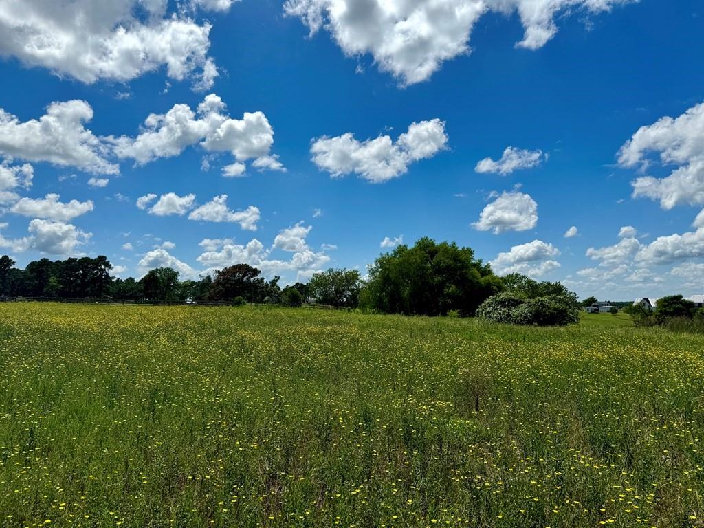 Waters Edge Ranch 143 Ph 01 - Land