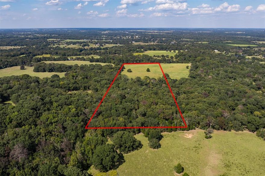 20 Acres Just Off State Hwy 19! This 20-acre property offers excellent potential with county road frontage located just off State Hwy 19. The land features open pastureland mixed with scattered trees. Property is fenced along the front, side, and includes access from the county road. With its convenient location and versatile layout, this tract is ideal for development or to build your forever home and enjoy the peace of country living.