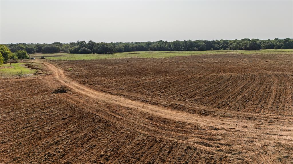 Moses Oldham Surv Abs 431 - Land