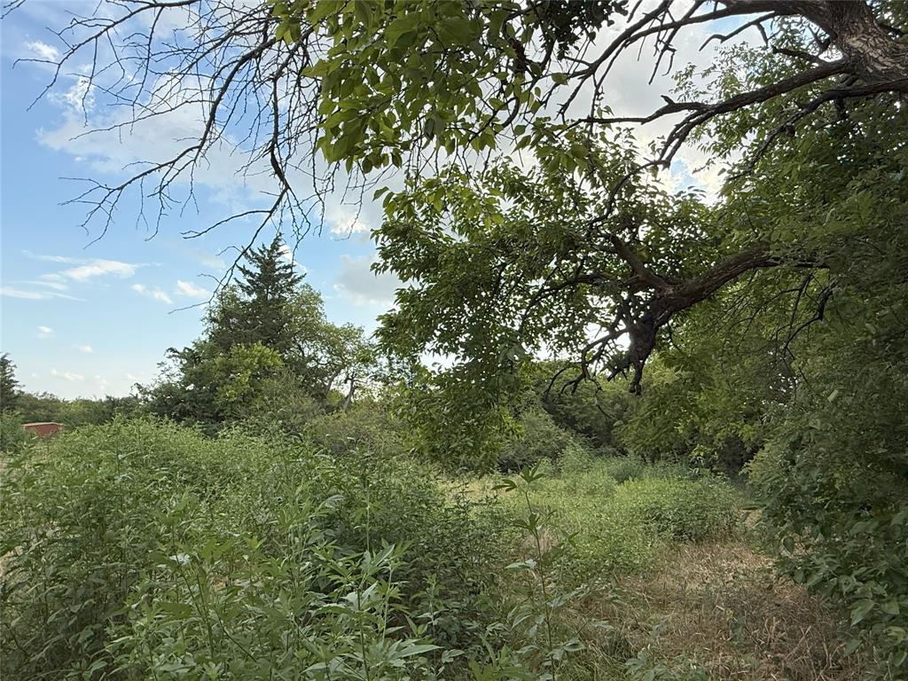 College Park Add - Land